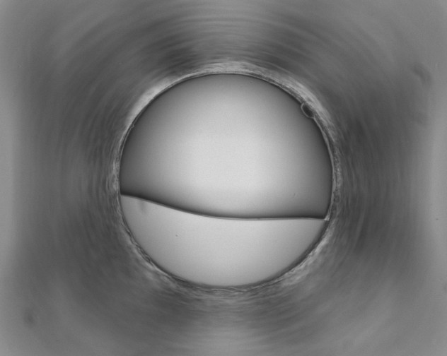 X0000112061097200908041005