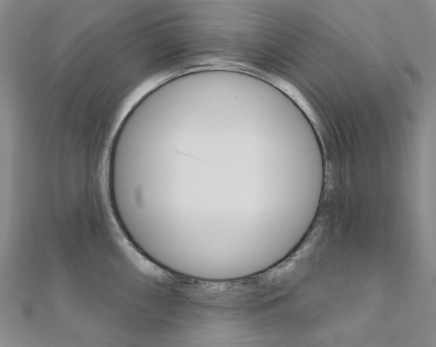 X0000112061098200908041005
