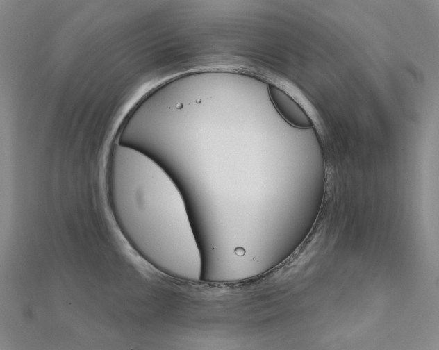 X0000112061099200908041005