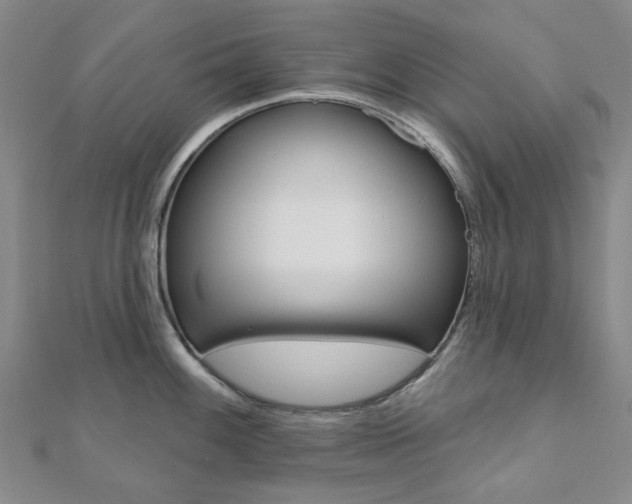 X0000112061100200908041005