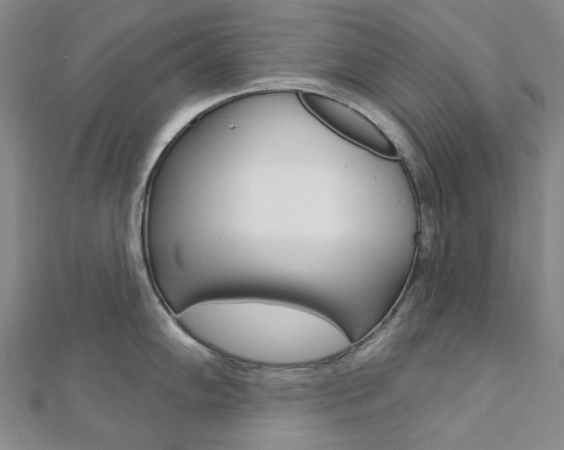 X0000112061102200908041005