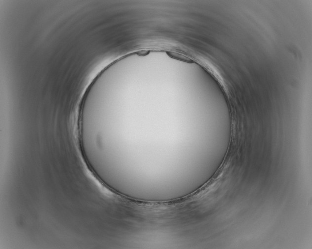 X0000112061103200908041005
