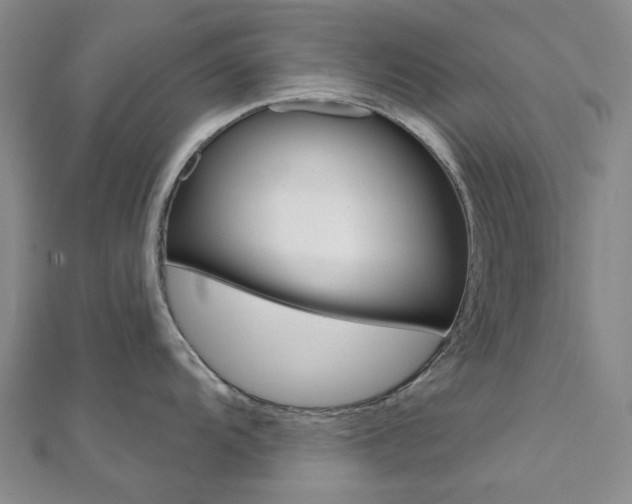 X0000112061104200908041005