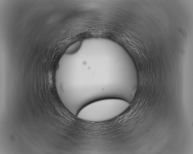 X0000112061106200908041004