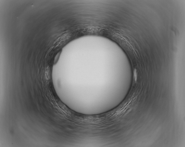 X0000112061107200908041005