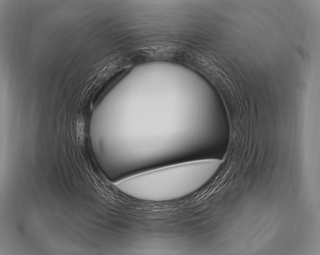 X0000112061108200908041005