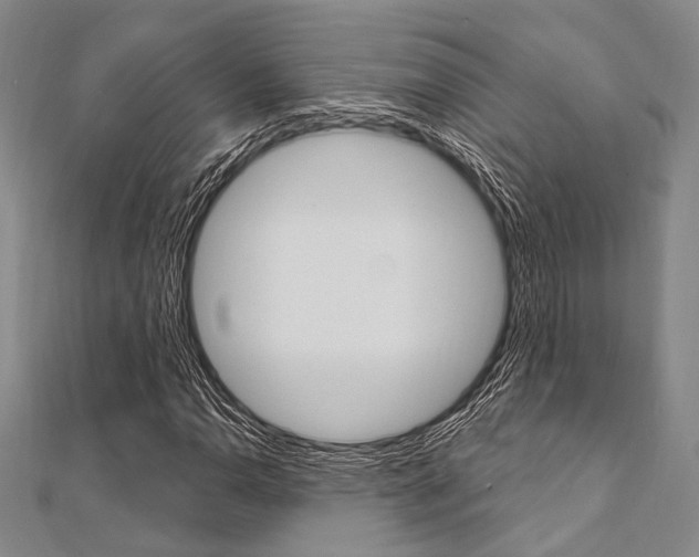 X0000112061110200908041005
