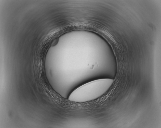 X0000112061111200908041005