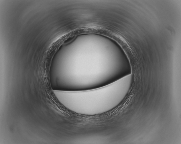 X0000112061112200908041005