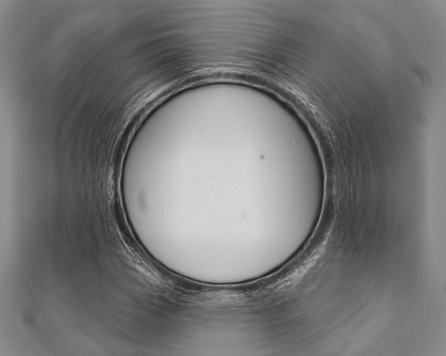 X0000112061113200908041005