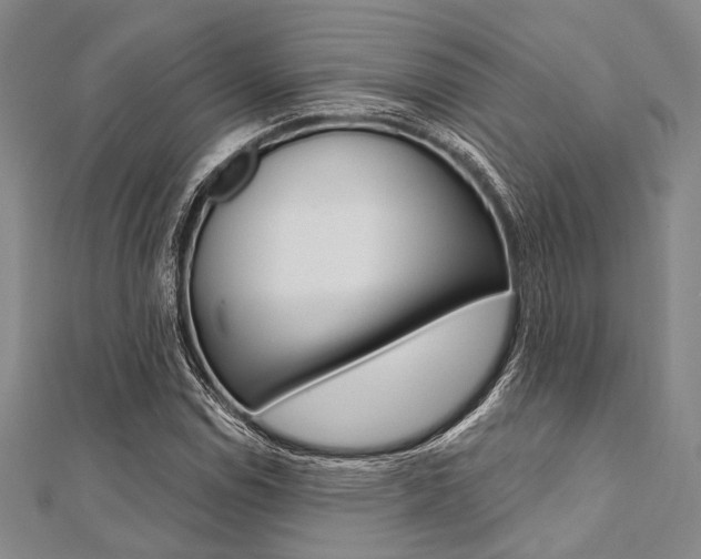 X0000112061114200908041005