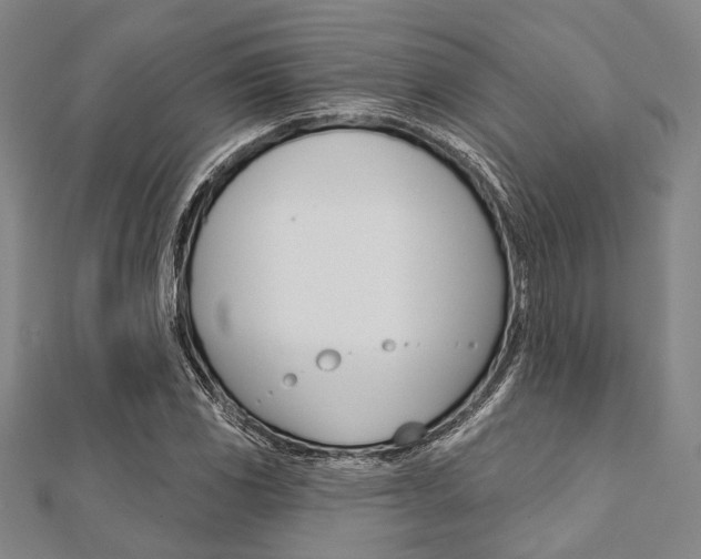 X0000112061117200908041005