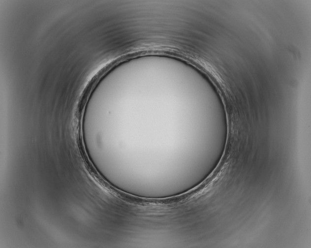 X0000112061119200908041005