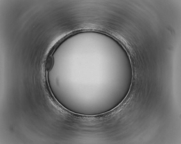 X0000112061120200908041005