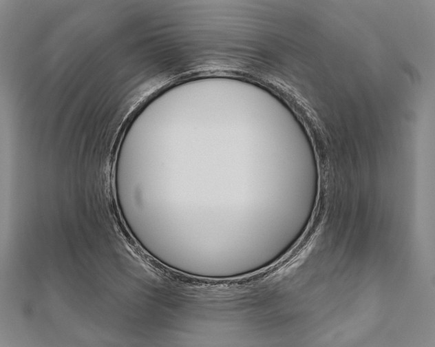 X0000112061121200908041005