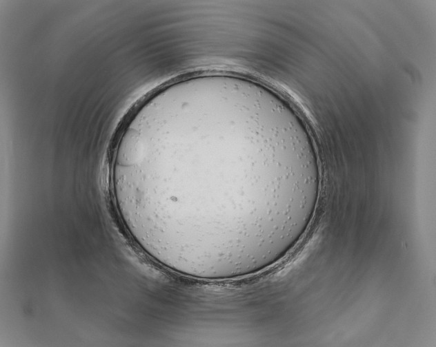 X0000112061125200908041005