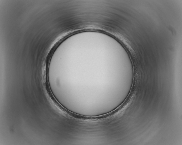 X0000112061126200908041005