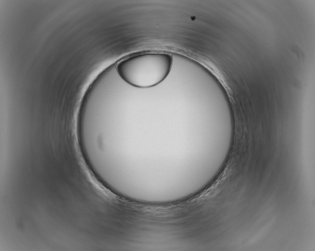 X0000112061128200908041005