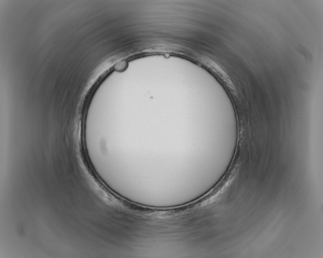 X0000112061130200908041005