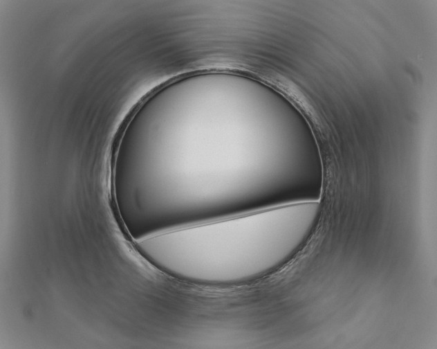 X0000112061132200908041005