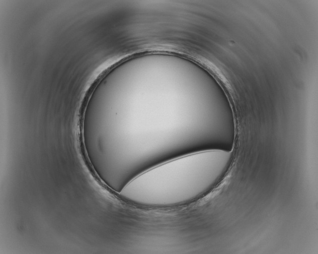 X0000112061133200908041005