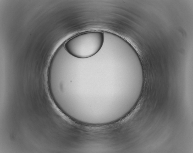 X0000112061134200908041005