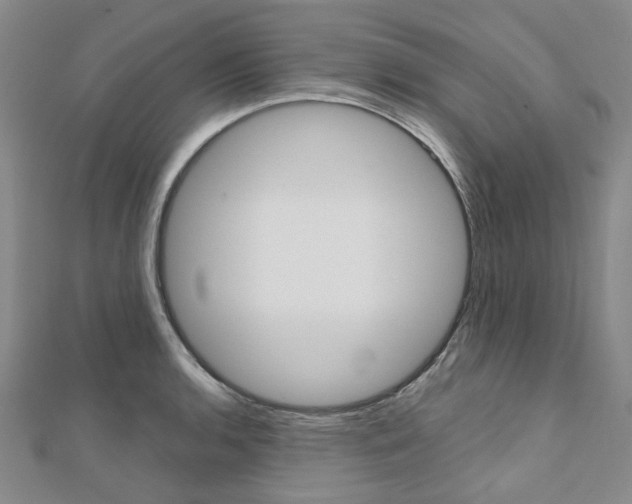 X0000112061136200908041005