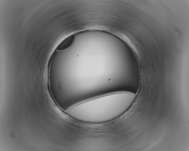X0000112061140200908041005