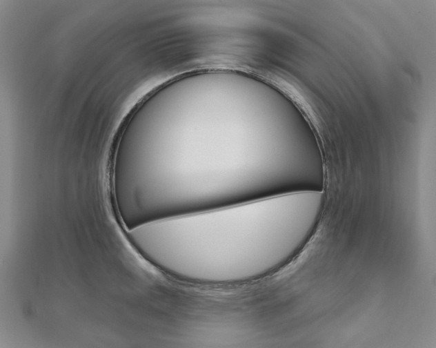 X0000112061141200908041005