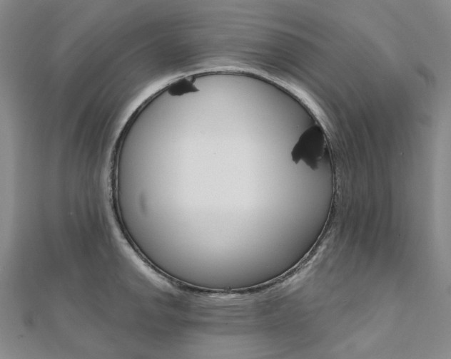 X0000112061142200908041005