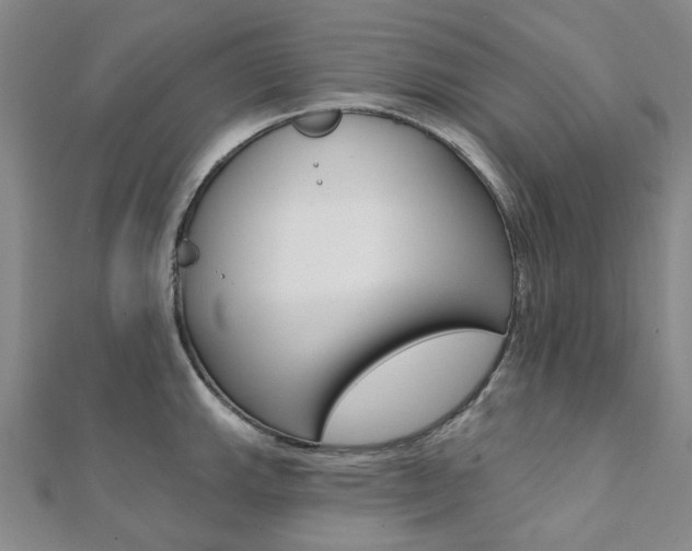X0000112061143200908041005