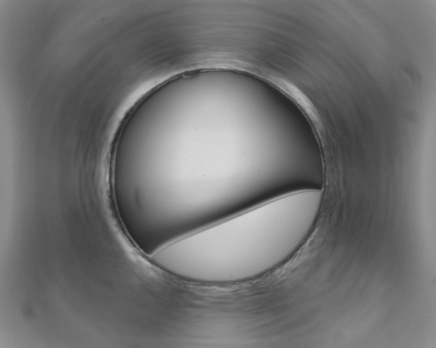 X0000112061144200908041005