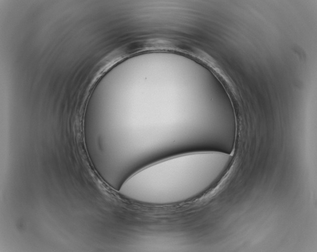 X0000112061145200908041005