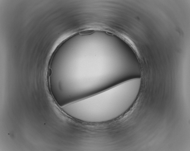 X0000112061146200908041005