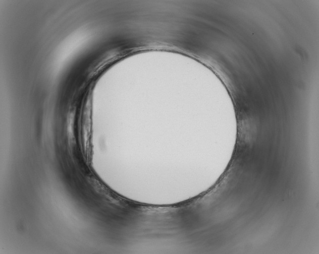 X0000112061150200908041005
