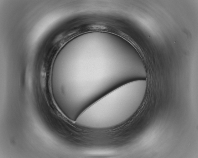 X0000112061151200908041005