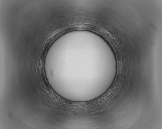 X0000112061158200908041004