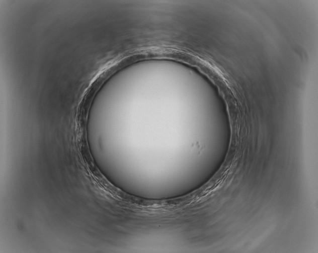 X0000112061160200908041004