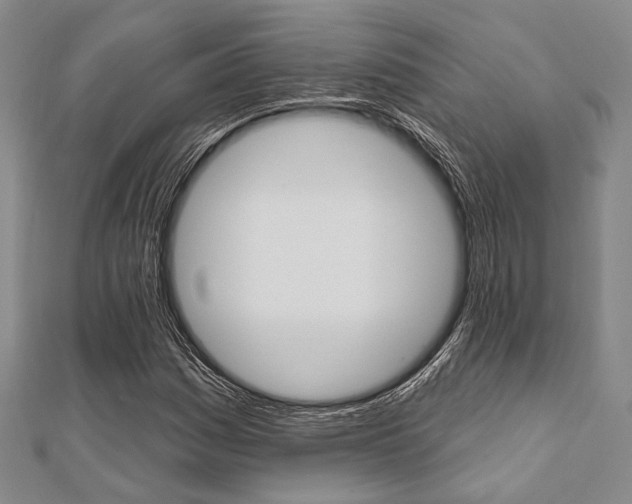 X0000112061161200908041004