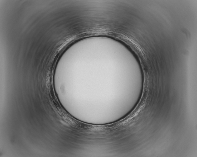 X0000112061162200908041004