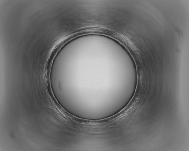 X0000112061164200908041004