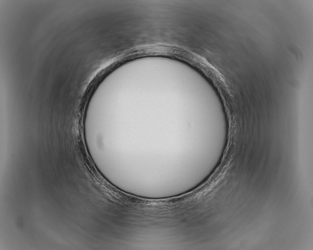X0000112061166200908041004