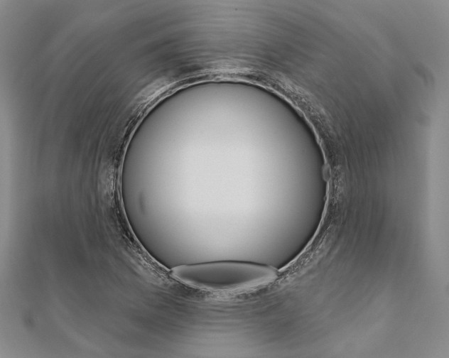 X0000112061169200908041004