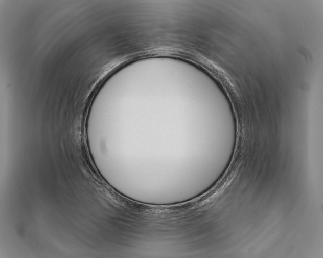 X0000112061170200908041004