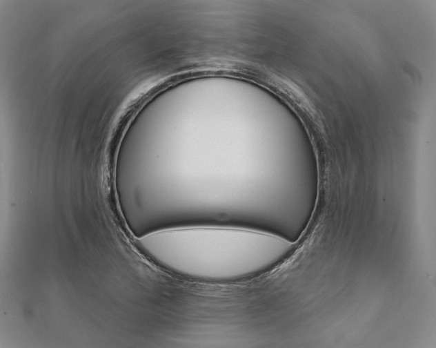 X0000112061172200908041004