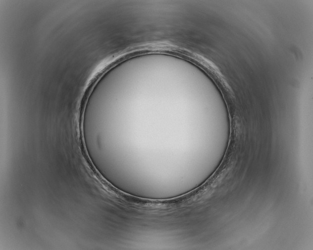 X0000112061176200908041004
