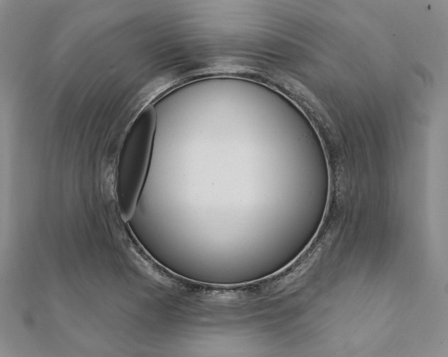 X0000112061177200908041004