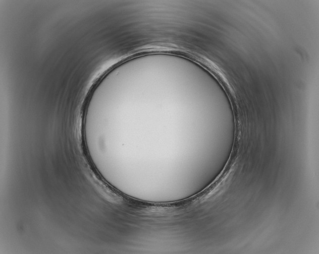 X0000112061179200908041004