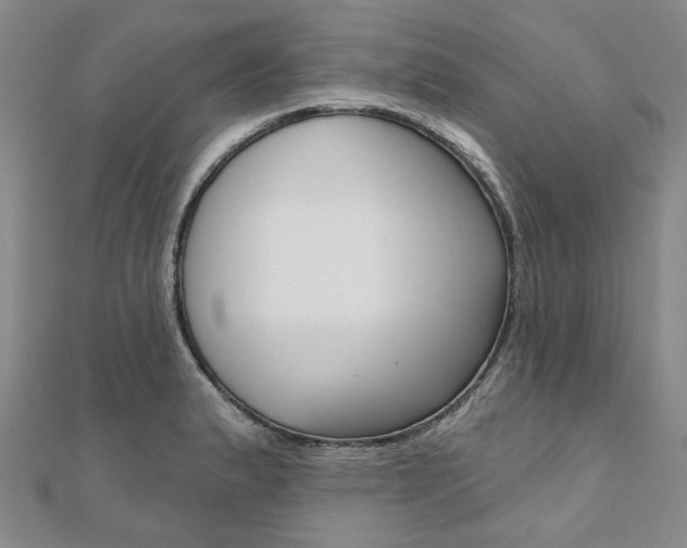 X0000112061183200908041004