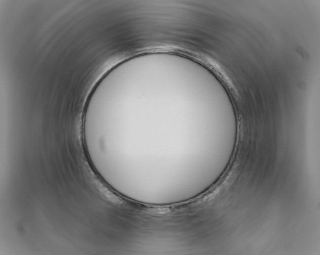 X0000112061186200908041004